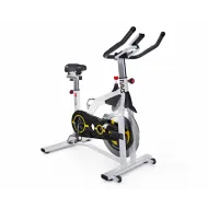 Магнитный велотренажер DFC RAVS B89423MW